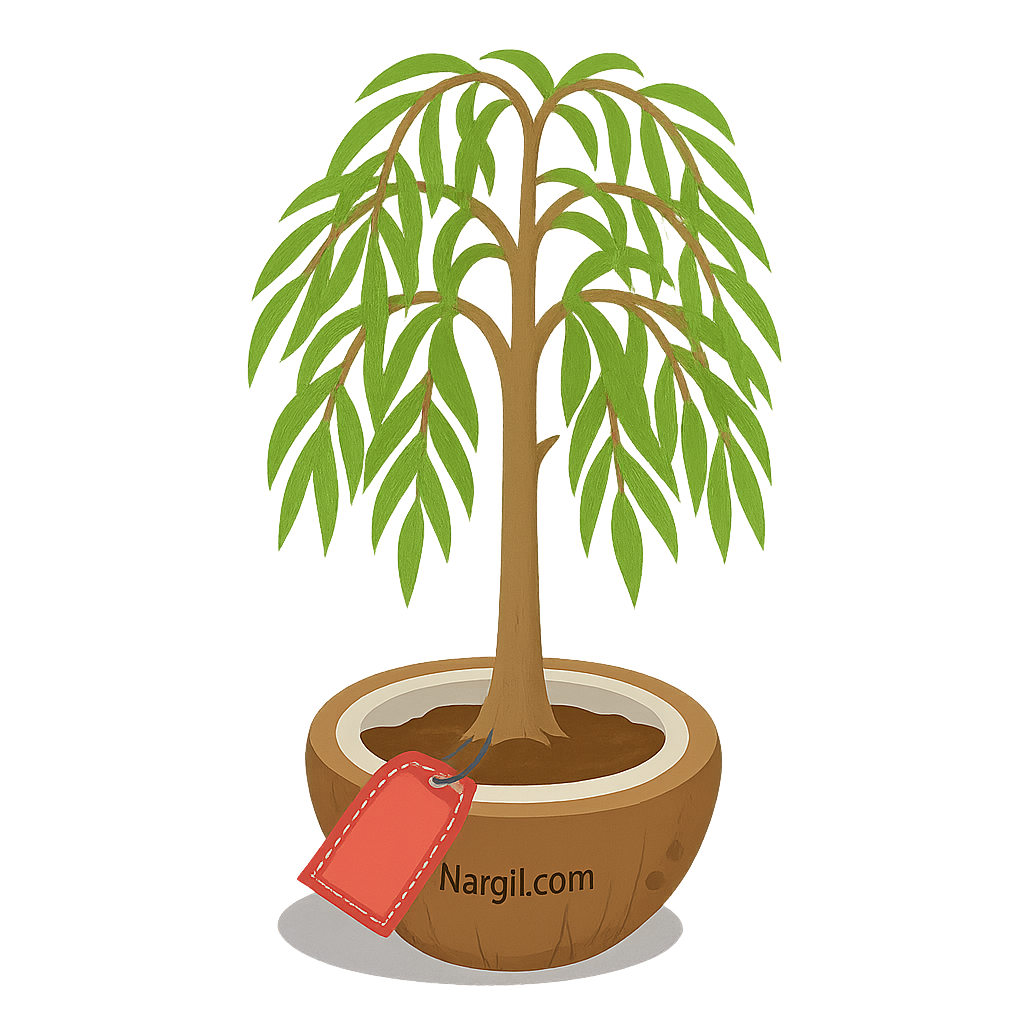  Nargil - white willow